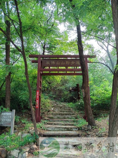 顺义木林镇舞彩浅山茶棚村农村房子出租