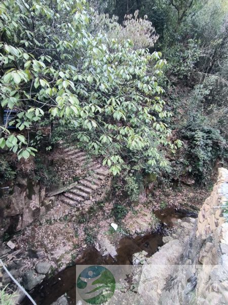 浙江省杭州市临安区青山街道孝村村民宿出租