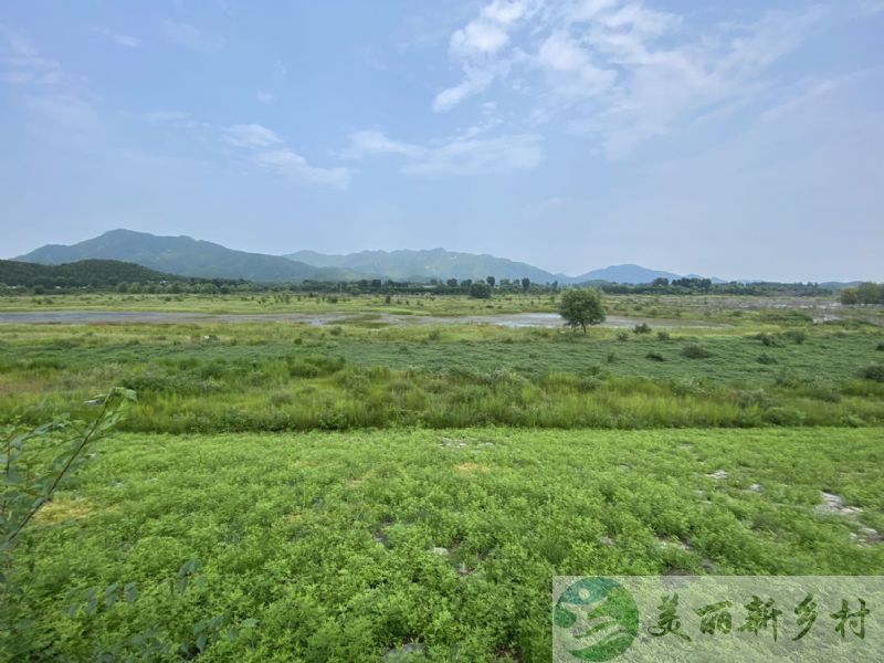 北京市顺义区农村院子出租-木林镇贾山村自建二层带院子出租