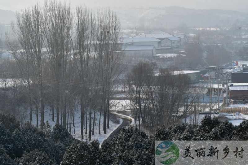 密云农村院子出租-水云澎湃  东篱采菊  密云石马峪自家别墅出租