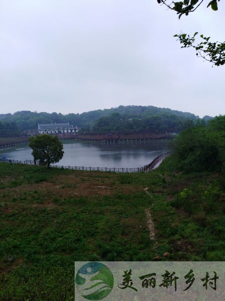 奓山街道新集村~生态风景园农房出租（11组）