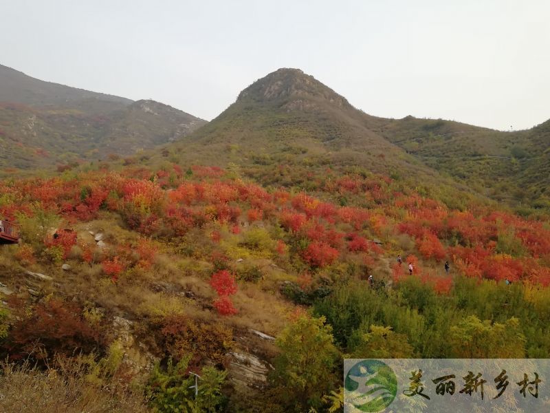 北京市顺义区木林镇五彩浅山旁舒适乡居二层别墅小院(自建毛坯)