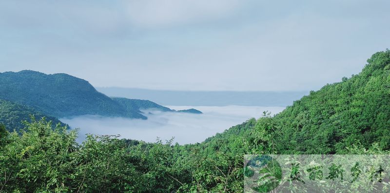 湖北省黄冈市蕲春县大别山农村山居小院出租（黄石黄冈武汉周边）