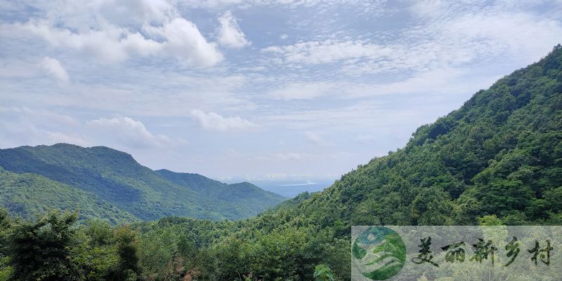 湖北省黄冈市蕲春县大别山农村山居小院出租（黄石黄冈武汉周边）