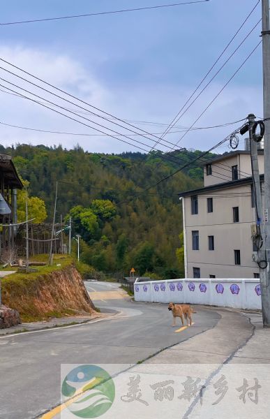 农家小院（包含宅基地使用权）