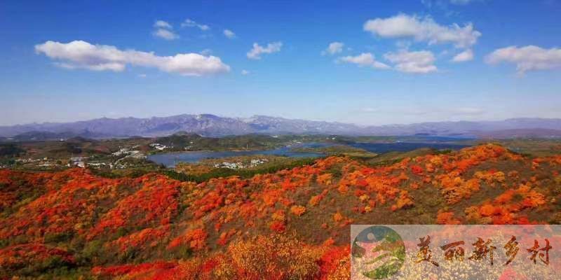 北京市密云区农村院子出租-穆家峪镇阁老峪村14号