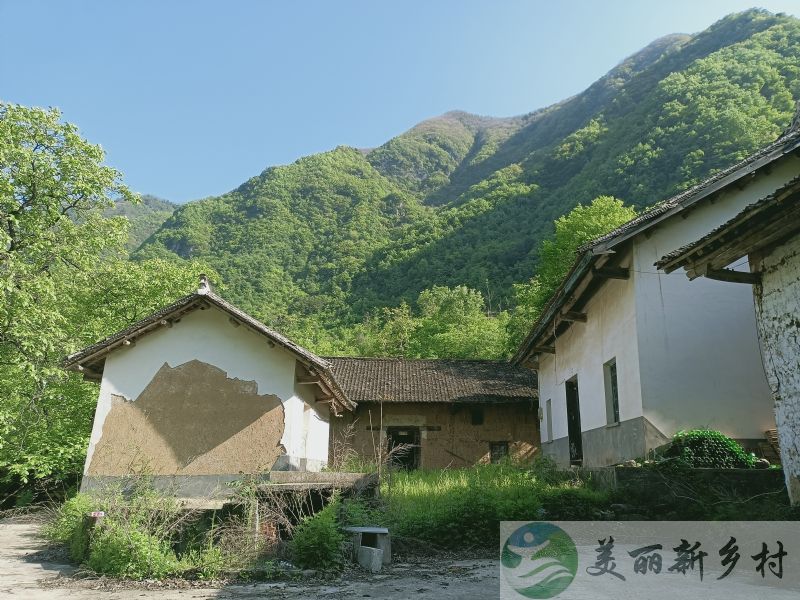 陕西省商洛市山阳县天竺山镇三槐村天竺山农村房子出租