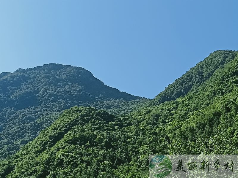 陕西省商洛市山阳县天竺山镇三槐村天竺山农村房子出租