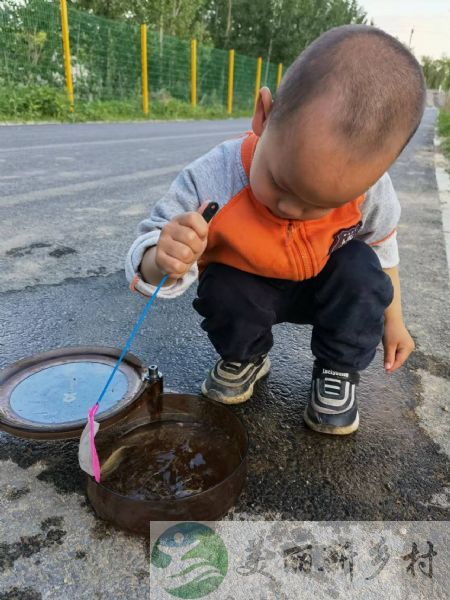 北京平谷峪口镇农村宅基地带小院出租