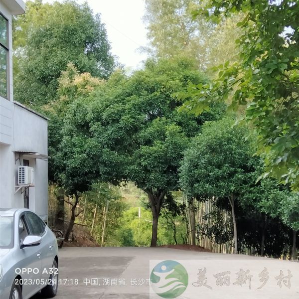 湖南长沙县果园镇古井社区农村农家小院出租