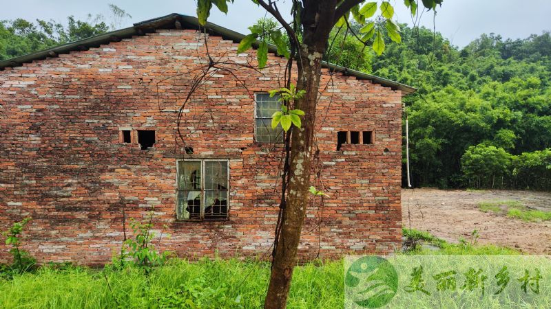 广东中山南朗农房小院农场出租