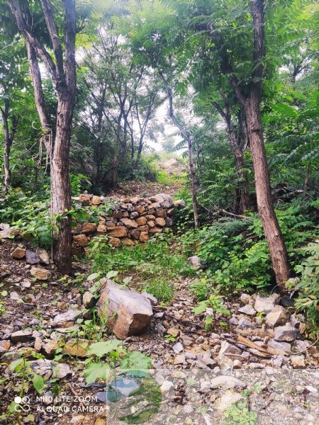 房山区韩村河镇圣水峪村农村院子出租