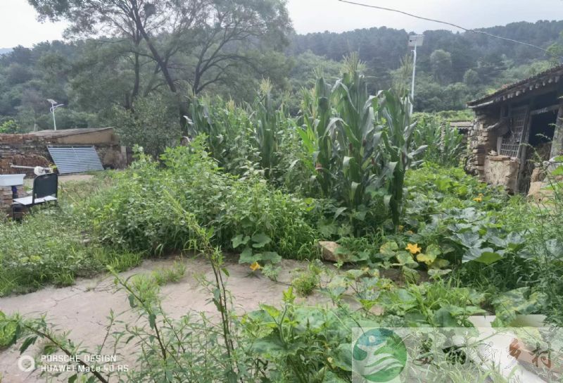 北京延庆永宁镇农村老院子出租-风景超美