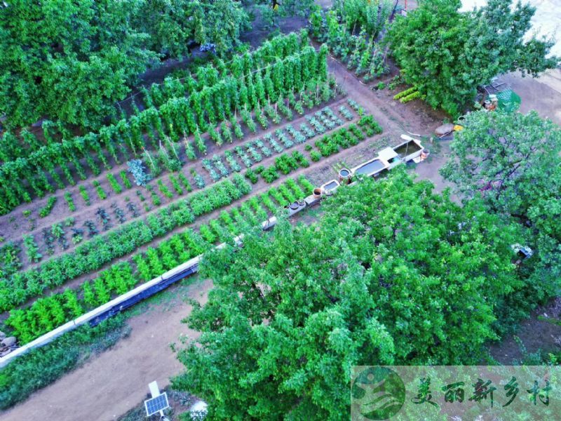 内蒙古呼和浩特新城区榆树沟村院子出租