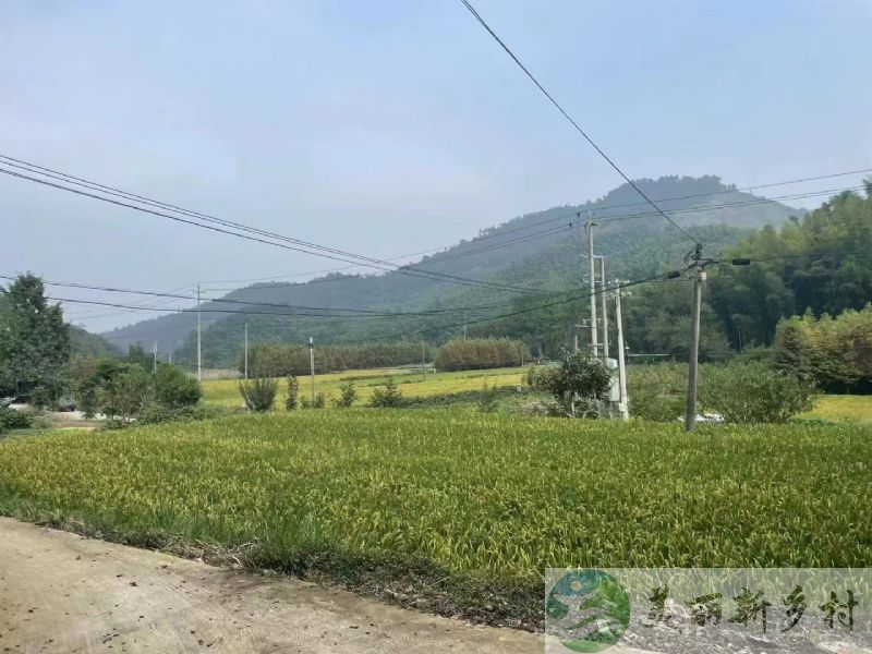 江苏溧阳天目湖附近山村