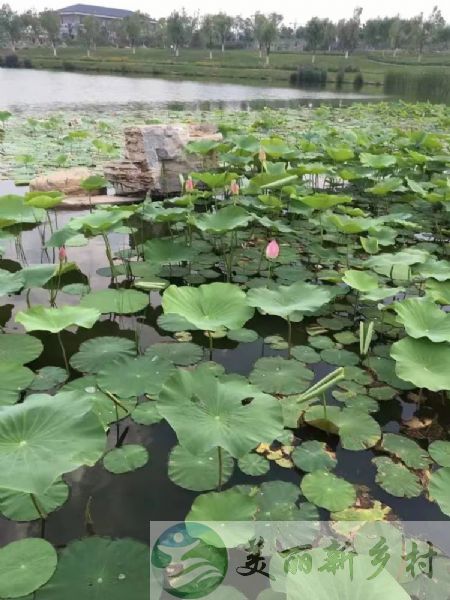 北京市房山农村院子出租-青龙湖京昆高速口800米农村房子