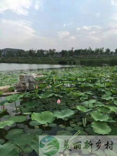 北京市房山农村院子出租-青龙湖京昆高速口800米农村房子