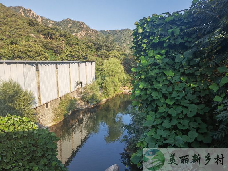 北京怀柔农村院子出租-雁栖镇交界河村800平山水小院