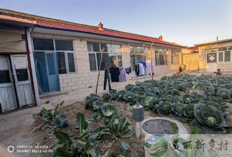 北京延庆圆白菜小院出租