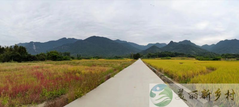 广东广州增城区农村小院出租-门口小河是温泉