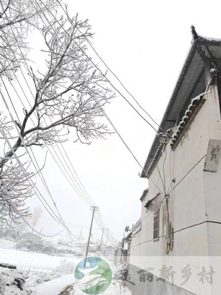 河南省平顶山市农村房子出租-张店乡界板沟村田家组小徽派风格大平层