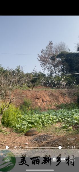 四川省眉山市农村房子出租-仁寿县黑龙滩镇铁门村