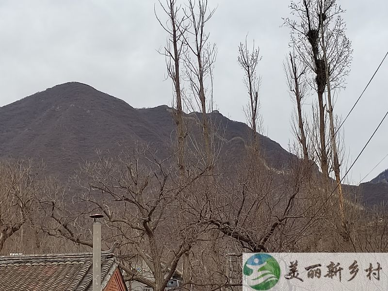 北京市怀柔区农村院子出租-渤海镇大榛峪村民宅出租