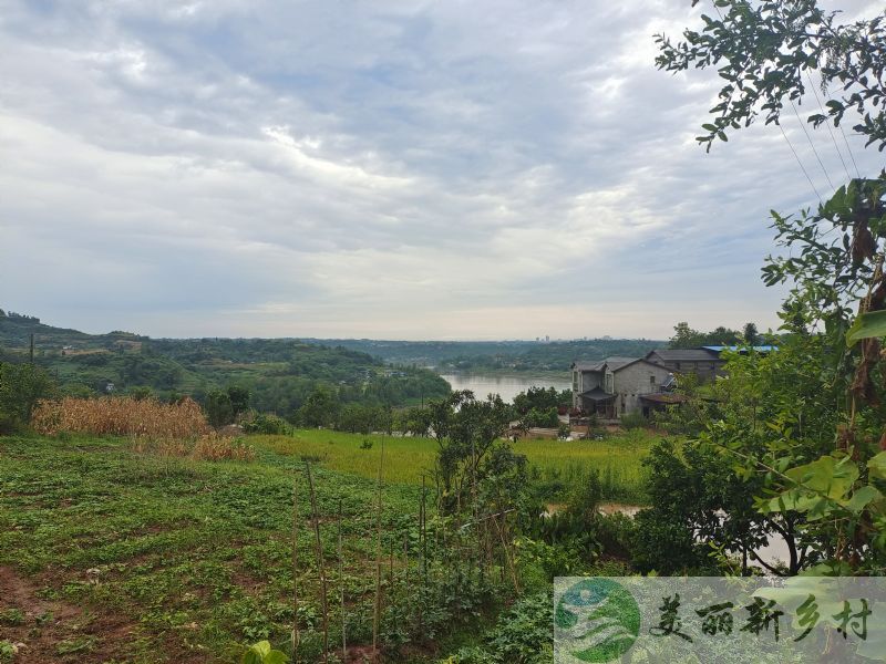 重庆合川区农村房子出租-双槐镇 月盘寺