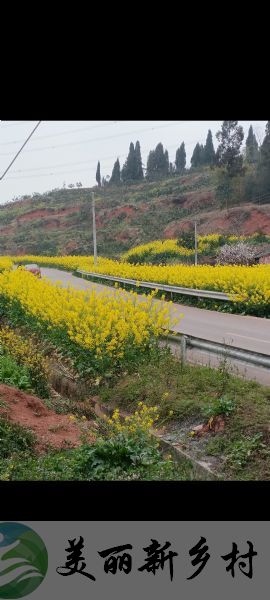 四川乐山市乡下私家花园可整租可零租