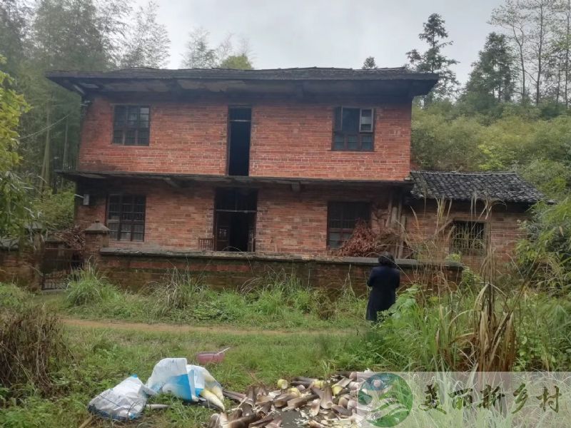 湖南郴州农村院子出租-蓼江镇鲁塘村洞中山组