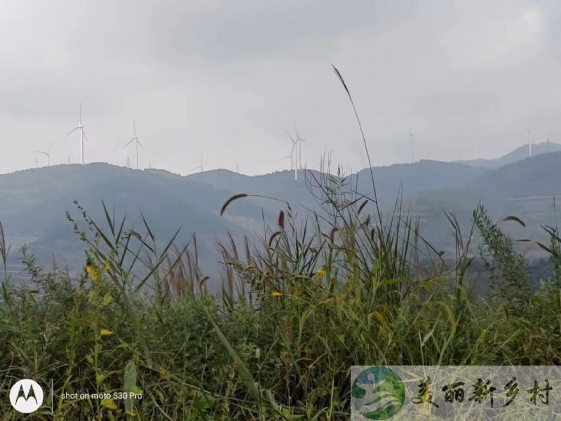 山西运城市农村院子出租-郭家河进村左拐第一家