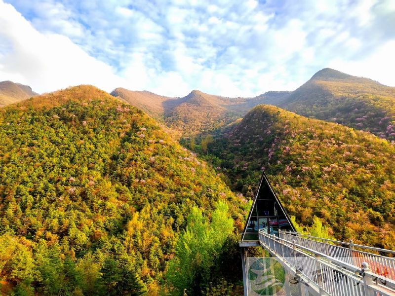 陕西省商洛市山阳县天竺山镇三槐村天竺山农村房子出租