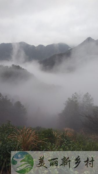 安徽省黄山市祁门县仙寓山高山土坯房出租