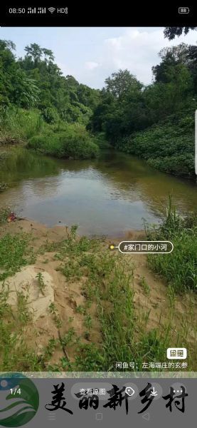 广东省茂名高州市根子镇高田农村楼出租