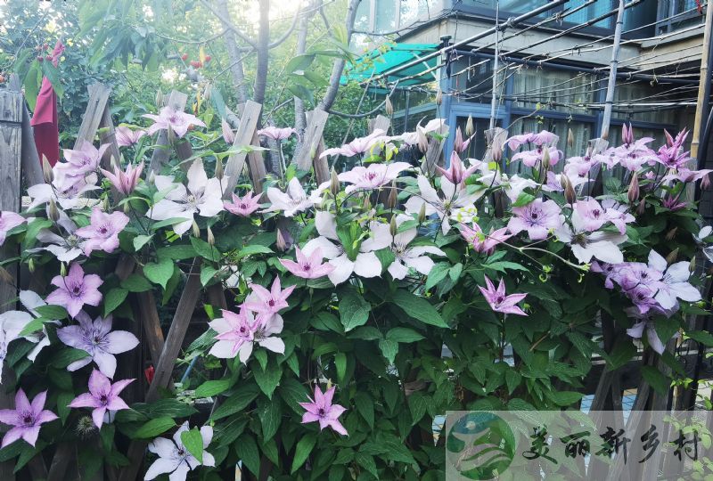 北京市昌平区十三陵镇院子出租