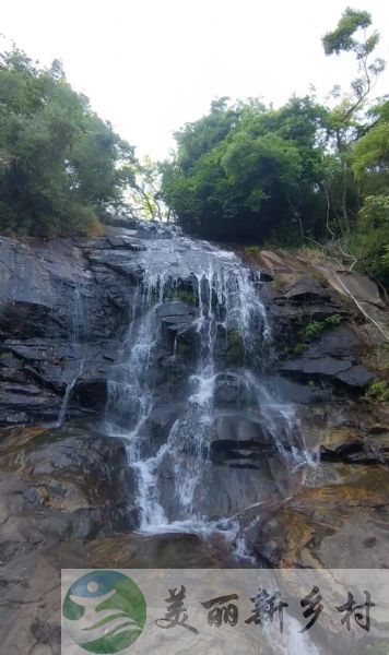 湖北省黄冈市蕲春县大别山农村山居小院出租（黄石黄冈武汉周边）