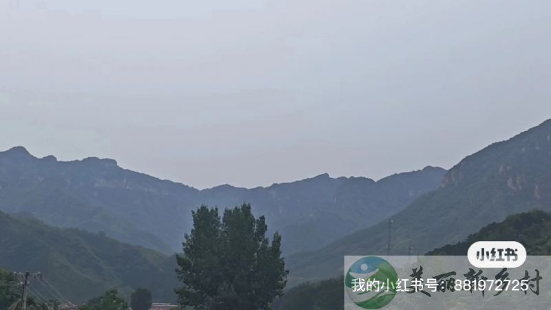 河北省承德市兴隆县陡子峪乡西陡子峪梨树行，离金海湖 靠山集近