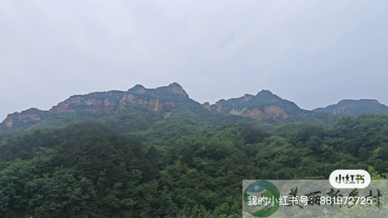 河北省承德市兴隆县陡子峪乡西陡子峪梨树行，离金海湖 靠山集近