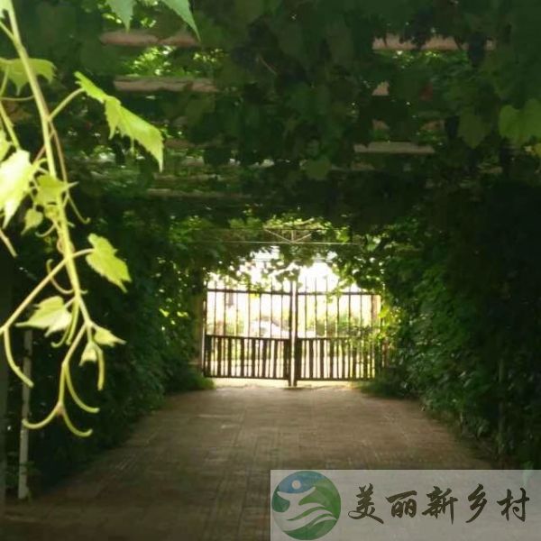 辽宁省沈阳市辽中区六间房镇腰窝棚屯