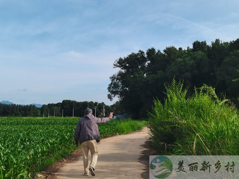 北京市延庆区旧县镇东羊坊村