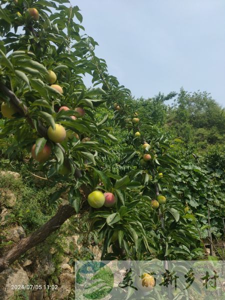 北京市门头沟区妙峰山镇大沟村自建独门独院二层楼出租