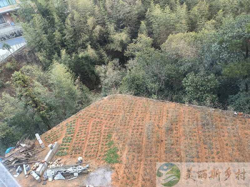 浙江省杭州市临安区青山湖街道孝村村