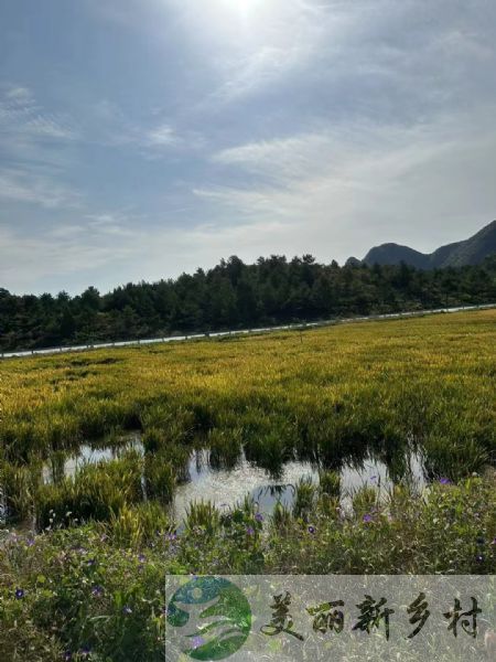 北京市延庆区永宁镇西山沟村房租出租