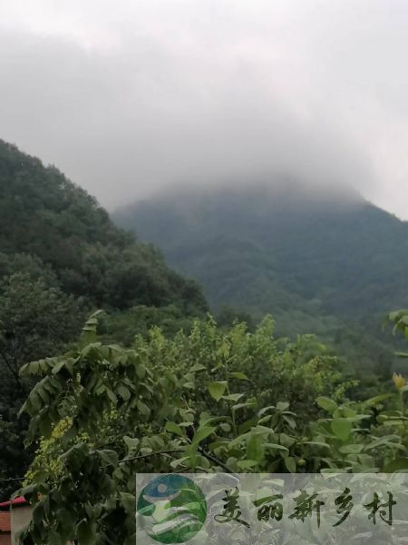 北京市平谷区熊儿寨乡魏家湾村31号吾我家园