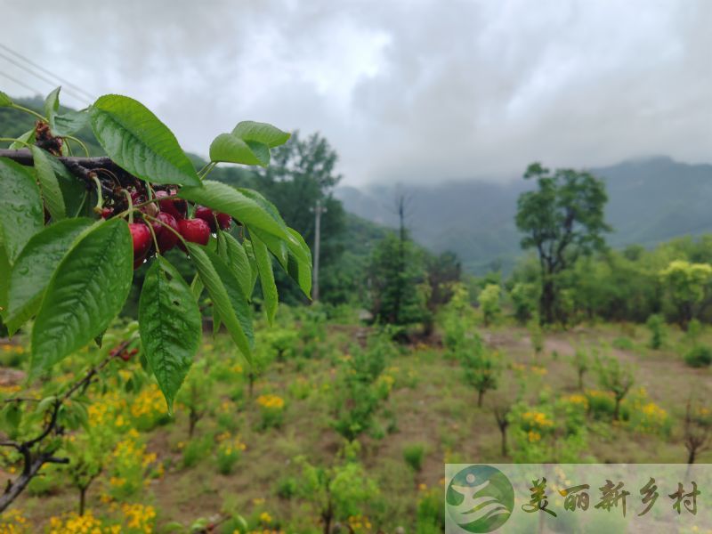 北京市昌平区十三陵小院首次出租-依山傍水，精装修，拎包入住