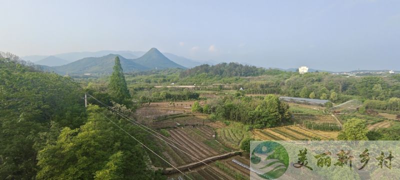 浙江省金华市农村房子出租-婺城区新狮街道迎峰村