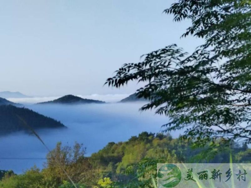 湖北省黄冈市蕲春县大别山农村山居小院出租（黄石黄冈武汉周边）