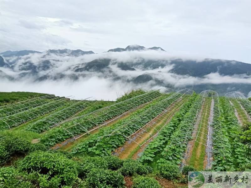 浙江省杭州市富春山高山村度假房出租