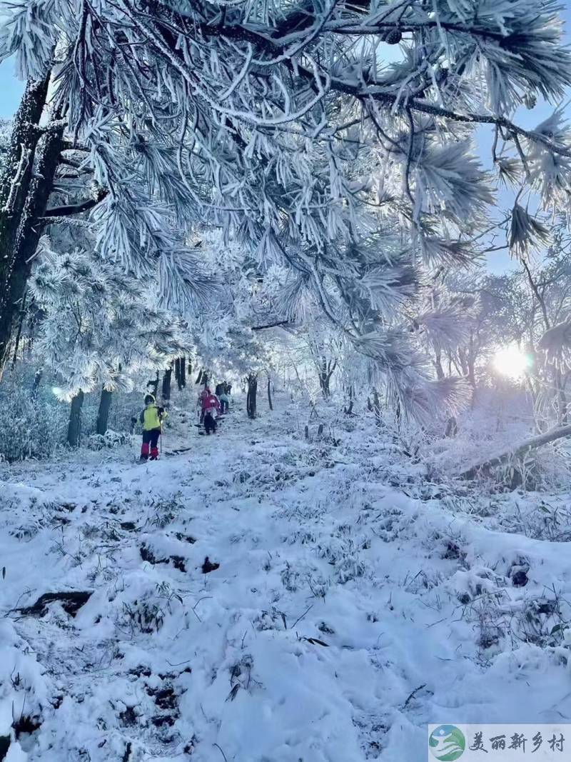 浙江省杭州市富春山高山村度假房出租