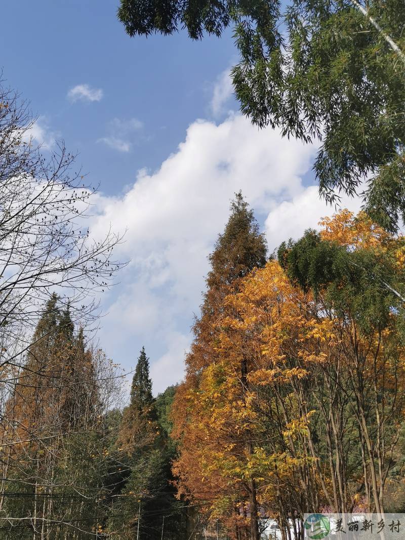 浙江省杭州市富春山高山村度假房出租